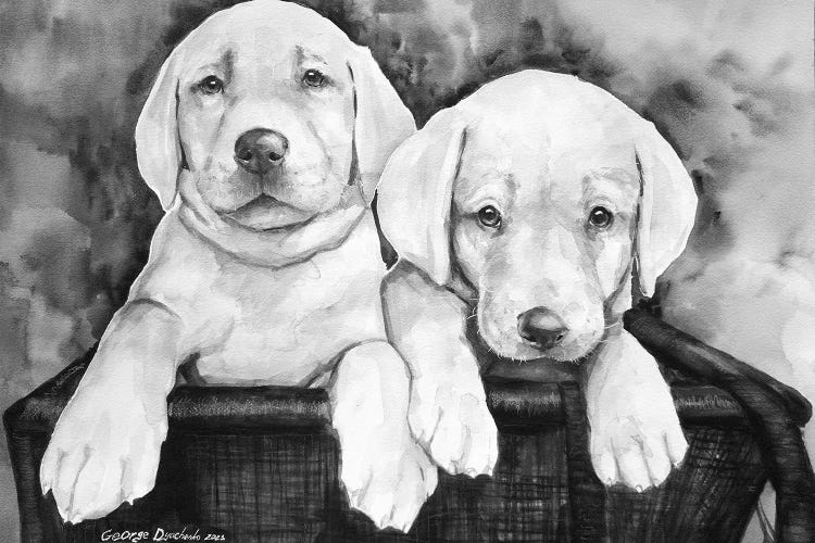 Two Labs by George Dyachenko wall art