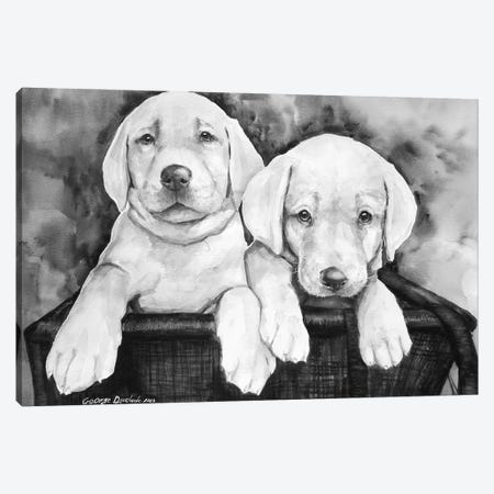 Two Labs Canvas Print #GDY350} by George Dyachenko Canvas Art
