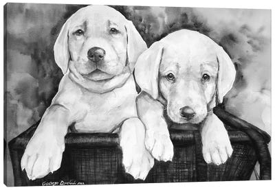 Two Labs Canvas Art Print - Labrador Retriever Art