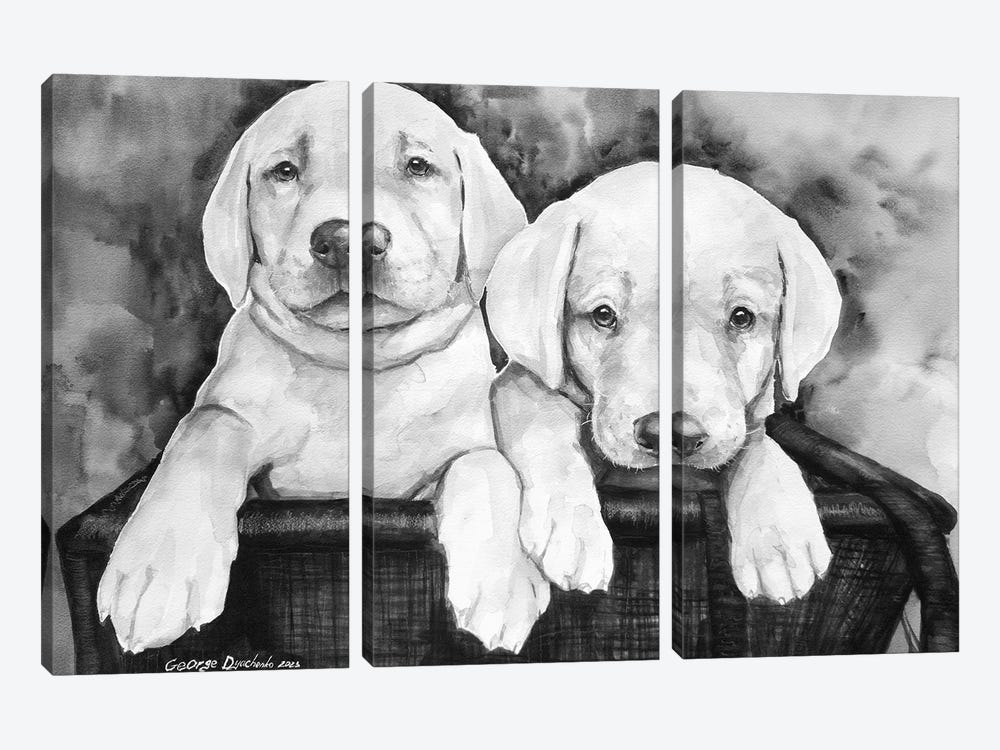 Two Labs by George Dyachenko 3-piece Canvas Print