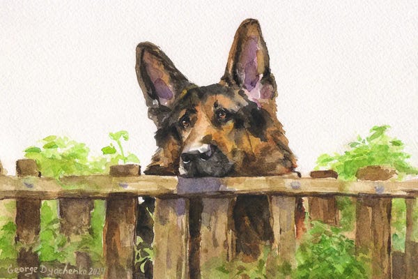 German Shepherds: German Shepherd On Fence by George Dyachenko