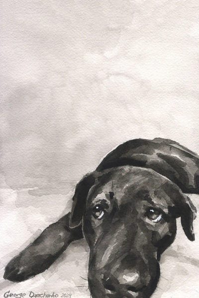 Labrador Retrievers: Labrador Black And White Vertical by George Dyachenko