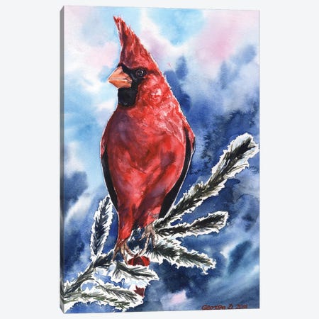 Cardinal Canvas Print #GDY35} by George Dyachenko Canvas Print