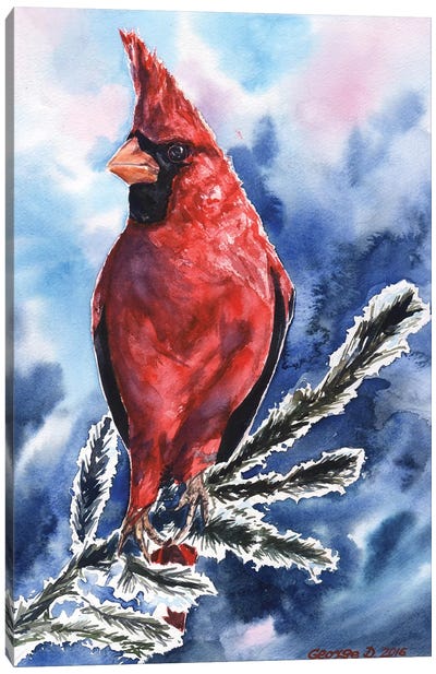 Cardinal Canvas Art Print - George Dyachenko
