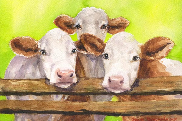 Three Cows Friends With Bg