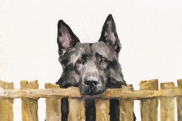 German Shepherds: Black German Shepherd by George Dyachenko