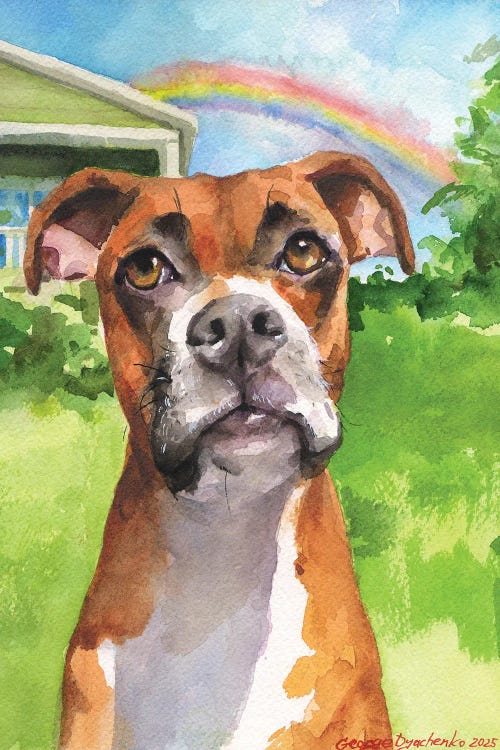 Boxer And Rainbow by George Dyachenko wall art