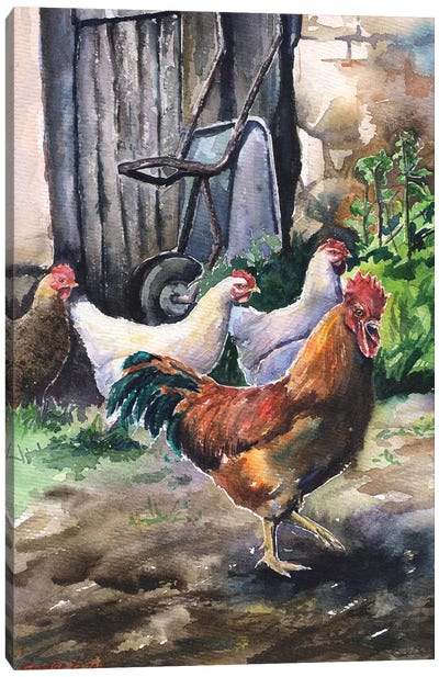 Chickens Canvas Art Print - George Dyachenko