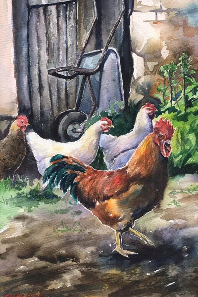 Chickens & Roosters: Chickens by George Dyachenko