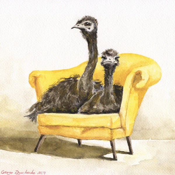 George Dyachenko: Funny Ostriches On Yellow Chair by George Dyachenko