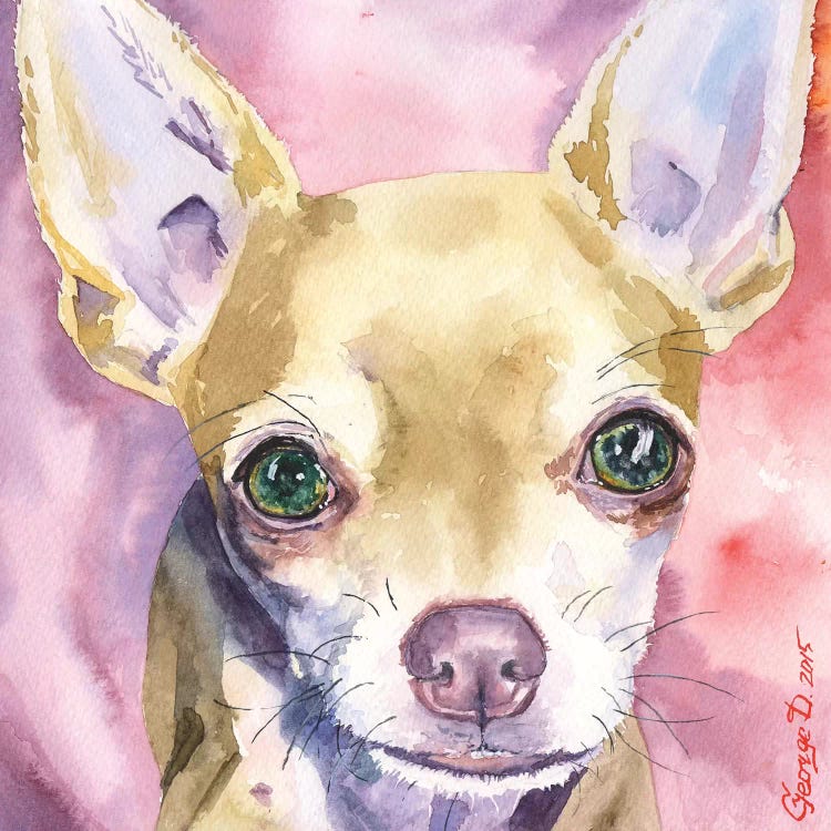 Chihuahua by George Dyachenko wall art