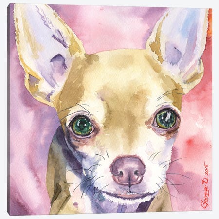 Chihuahua Canvas Print #GDY37} by George Dyachenko Canvas Print