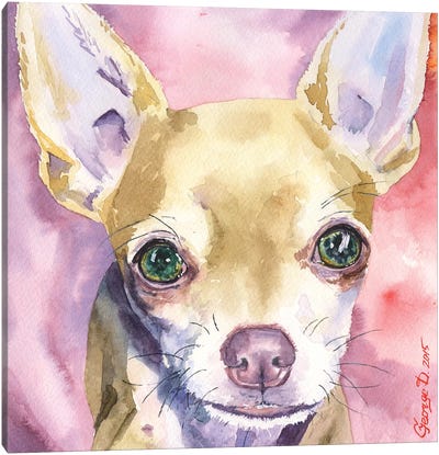 Chihuahua Canvas Art Print - Pet Industry