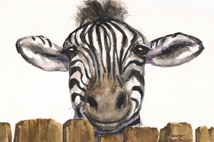 Cute Zebra Above The Fence by George Dyachenko wall art