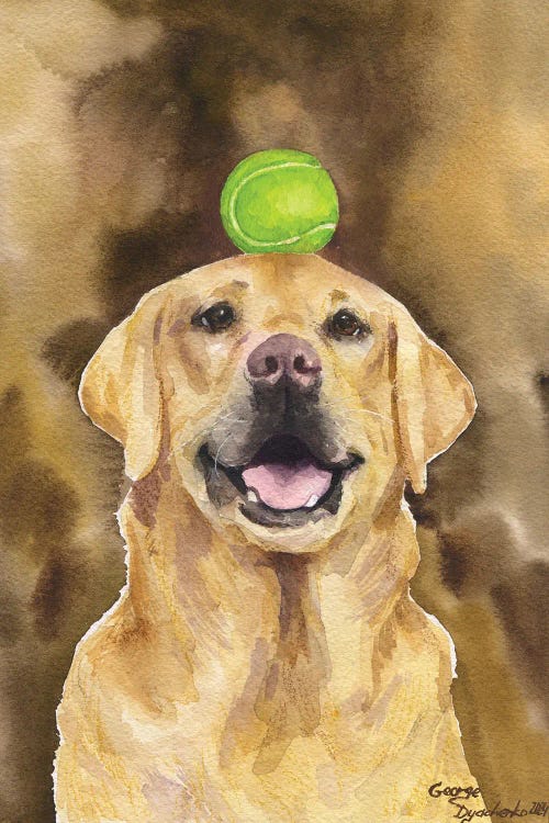 Happy Golden Retriever With Tennis Ball by George Dyachenko wall art