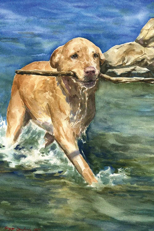Happy Labrador With Stick by George Dyachenko wall art