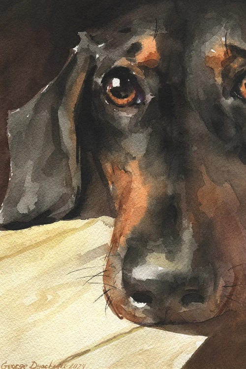 Sight Of Dachshund by George Dyachenko wall art