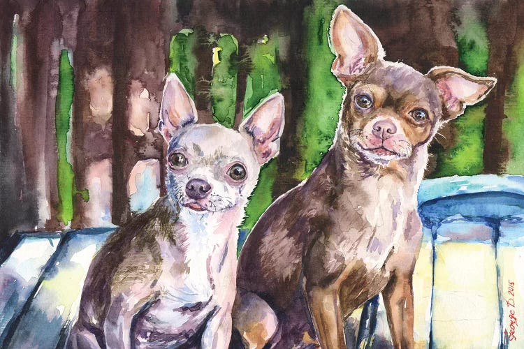 Chihuahuas by George Dyachenko wall art