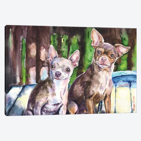 Chihuahuas Canvas Print #GDY38} by George Dyachenko Canvas Wall Art