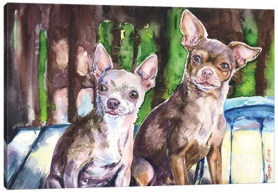 Chihuahuas Canvas Art Print - Chihuahua Art