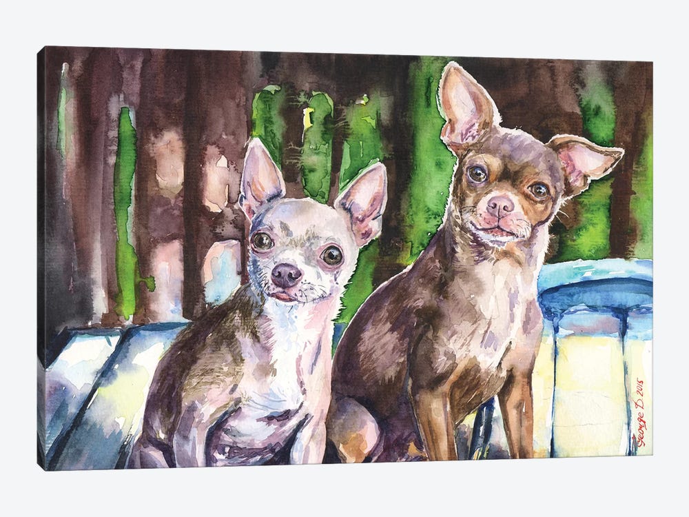 Chihuahuas by George Dyachenko 1-piece Canvas Print