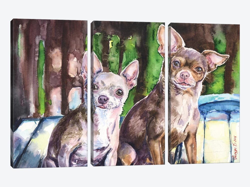 Chihuahuas by George Dyachenko 3-piece Art Print