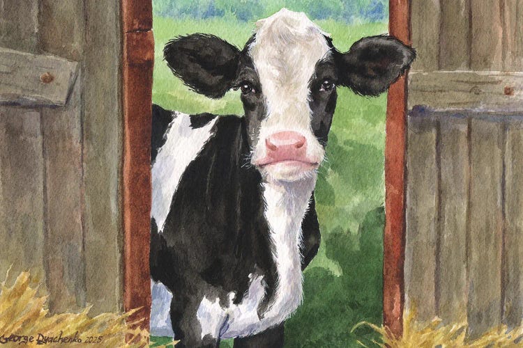 Cute Cow In Wooden Gate by George Dyachenko wall art