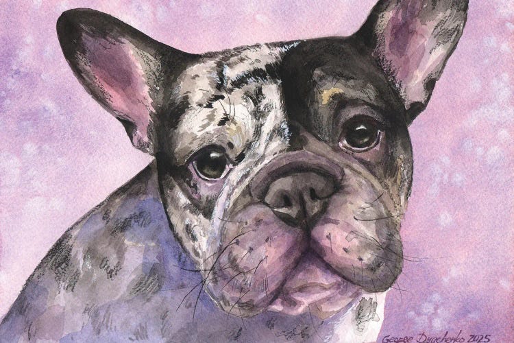 Harlequin French Bulldog Portrait by George Dyachenko wall art