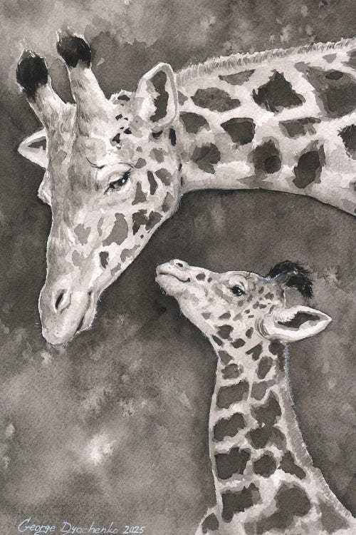 Giraffe And Her Baby In Black And White by George Dyachenko wall art