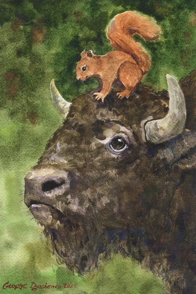 Squirrels: Bison And Squirrel by George Dyachenko