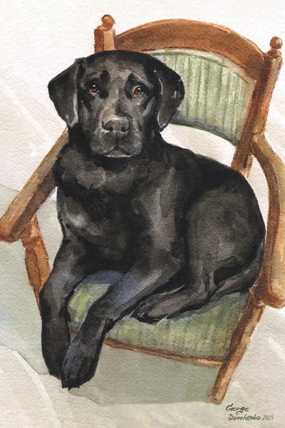 Labrador Retrievers: Labrador On Chair by George Dyachenko