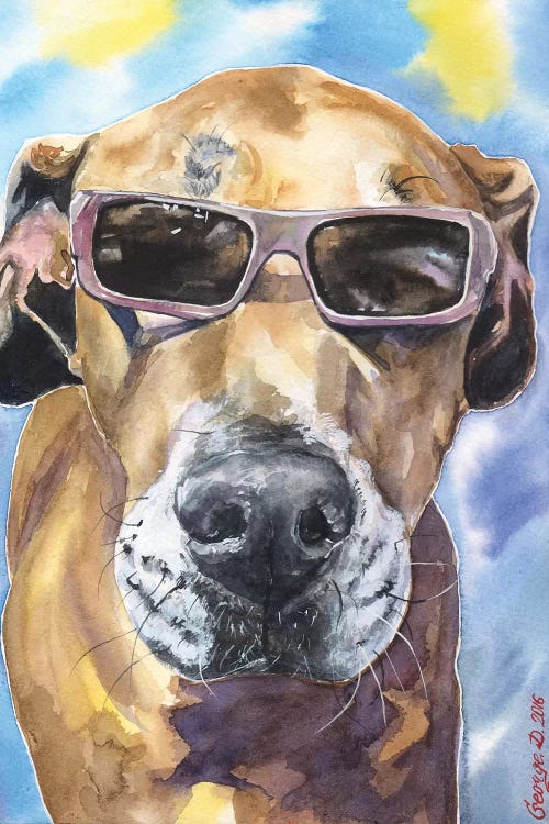 Cool Great Dane by George Dyachenko wall art