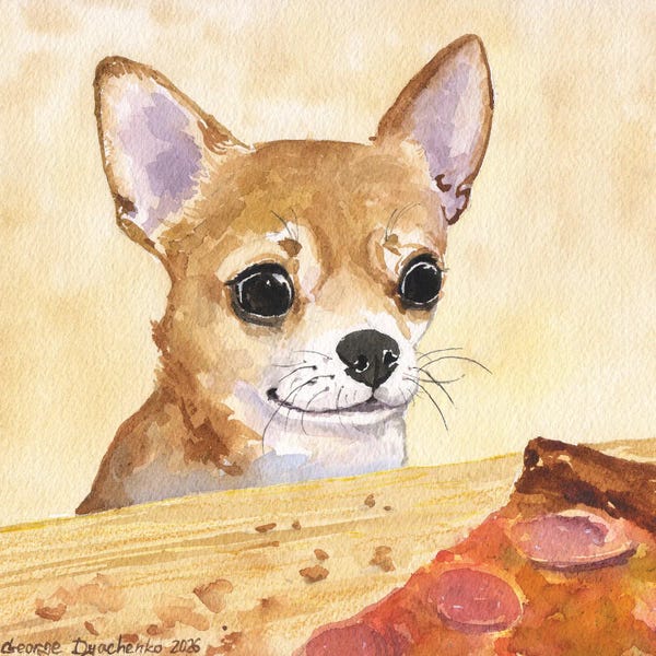 Chihuahua And Pizza