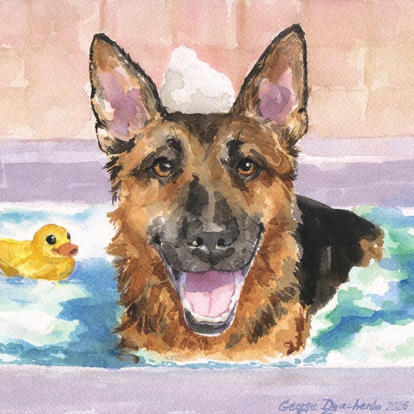 German Shepherd In Bath