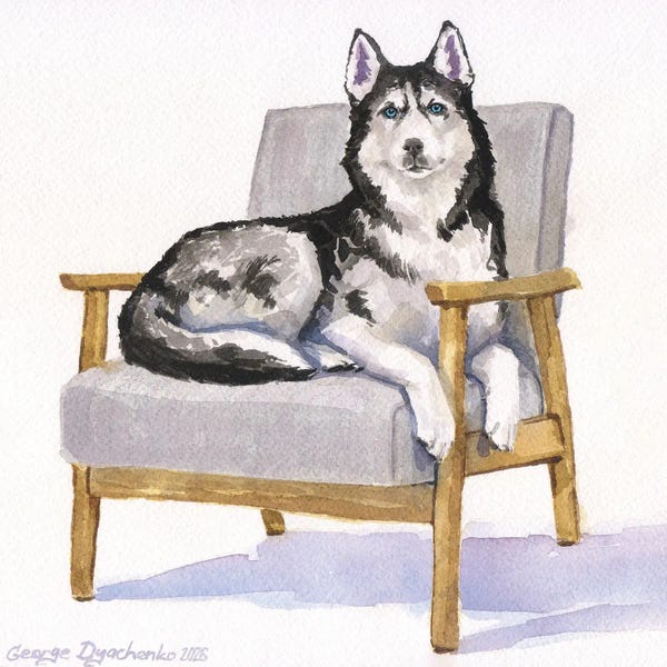 Husky On Chair