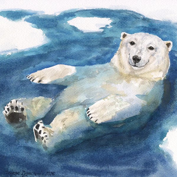 Polarbear Bath Time