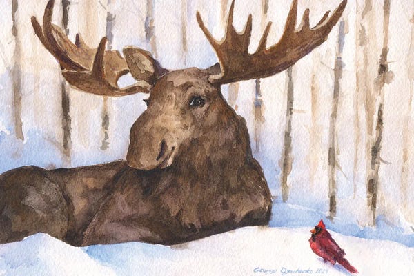 Moose And Red Cardinal