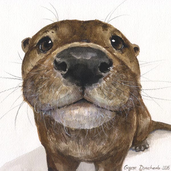 George Dyachenko: Otter by George Dyachenko