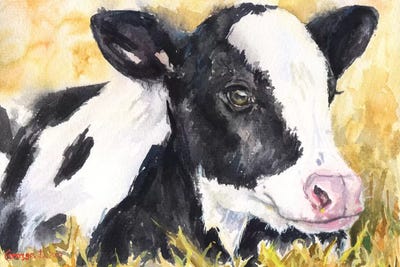 Cow Baby by George Dyachenko art print