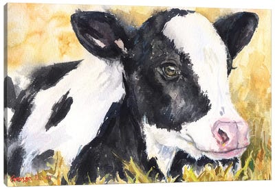 Cow Baby Canvas Art Print - Cow Art