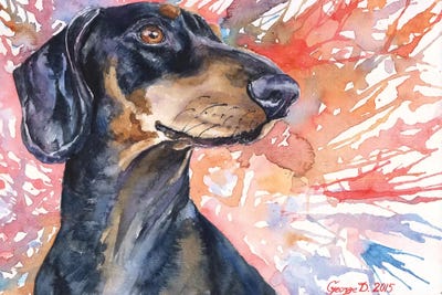 Dachshund by George Dyachenko metal wall art