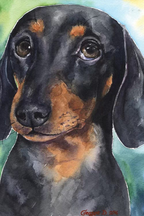 Dachshund Puppy by George Dyachenko wall art