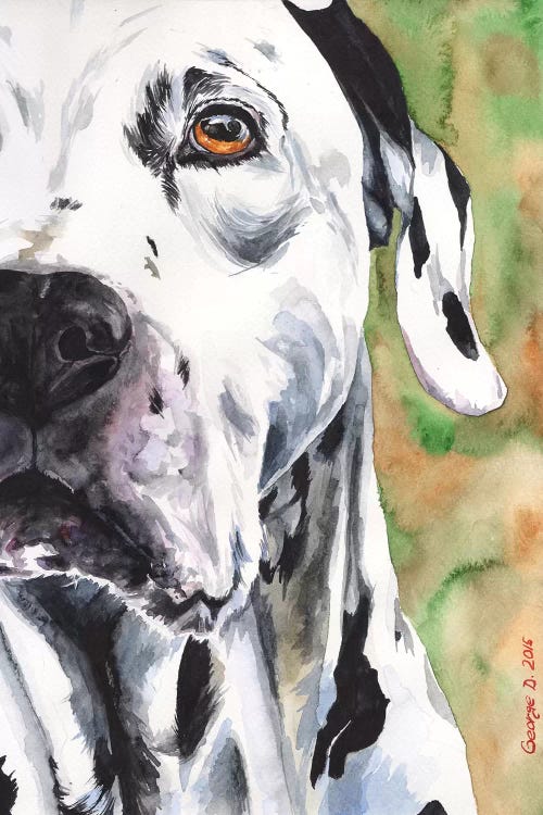 Dalmatian by George Dyachenko wall art