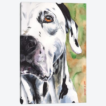 Dalmatian Canvas Print #GDY48} by George Dyachenko Canvas Art Print