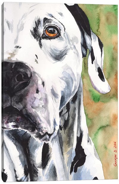 Dalmatian Canvas Art Print - George Dyachenko