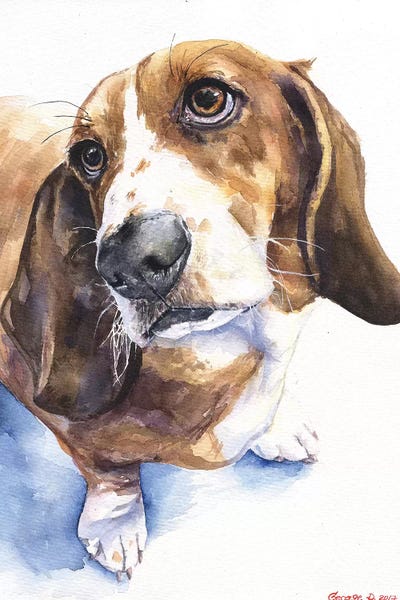 Basset Hounds: Basset II by George Dyachenko