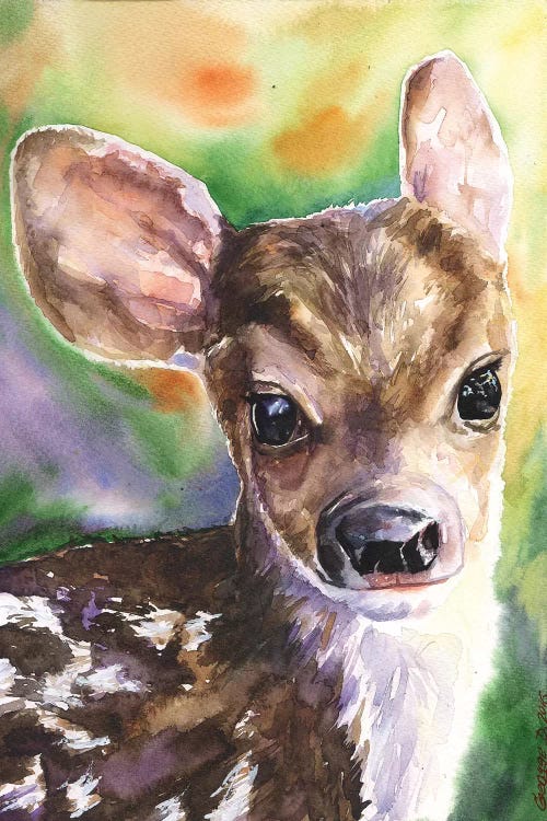 Deer Fawn