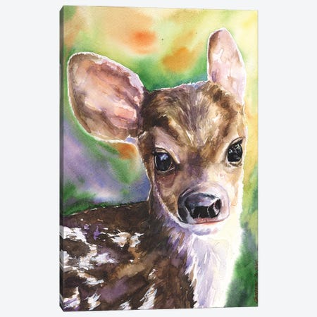 Deer Fawn Canvas Print #GDY50} by George Dyachenko Canvas Wall Art