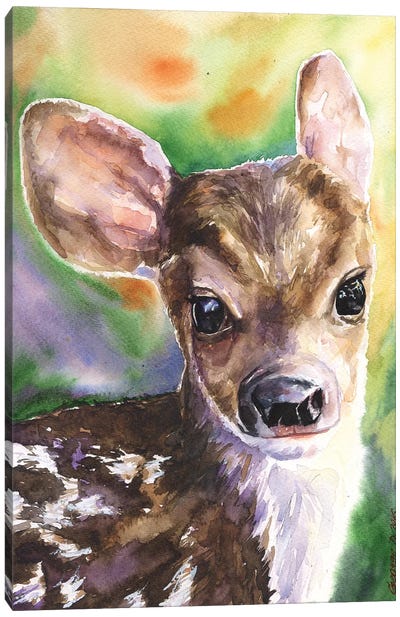 Deer Fawn Canvas Art Print - George Dyachenko