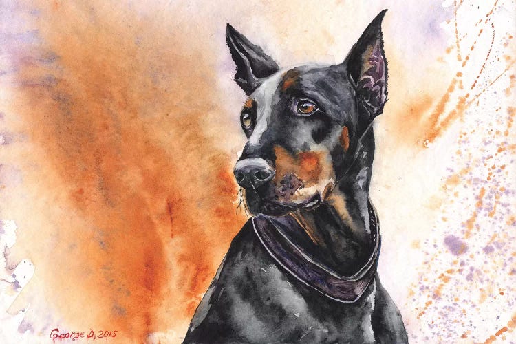 Doberman